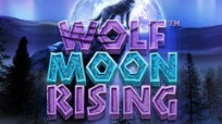 Игровой автомат Wolf Moon Rising